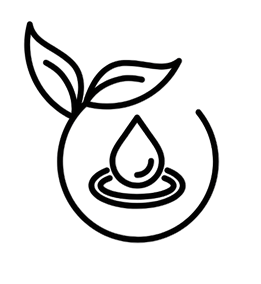 Icône rythmobiologie